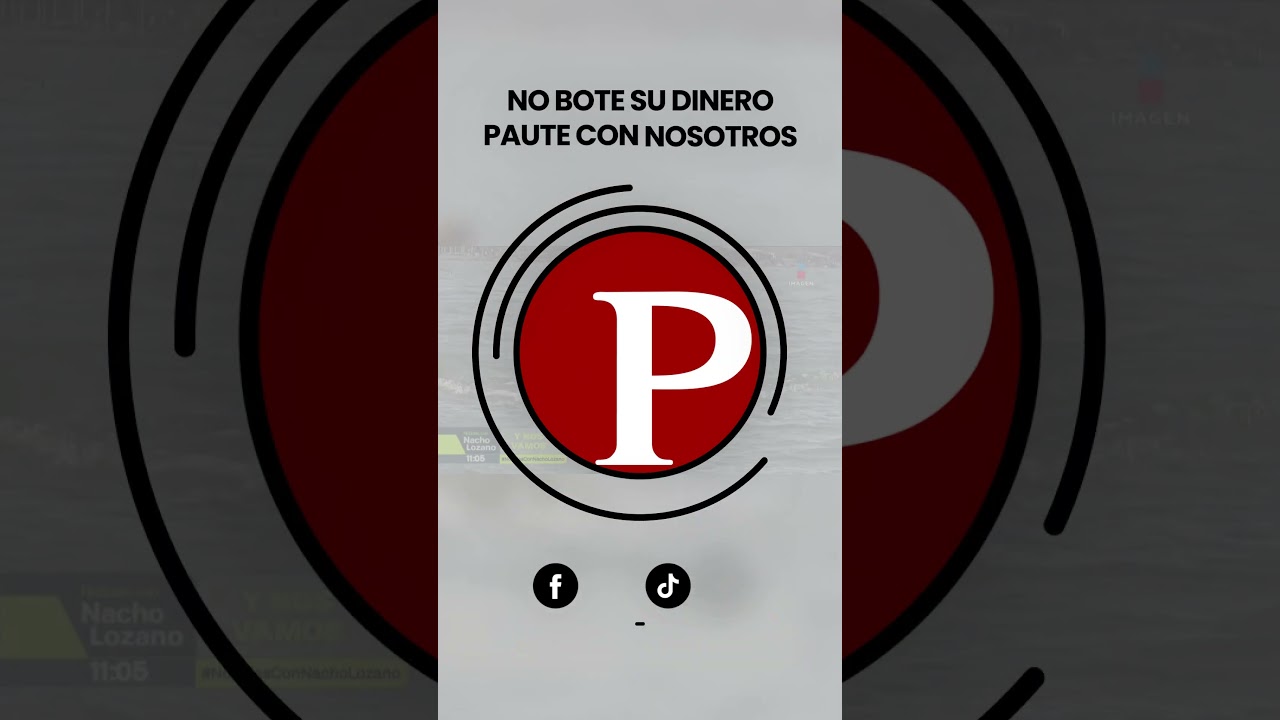 MARIHUANO el perro surfista de la playas de Veracruz