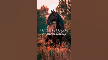 تلاوة هادئة تريح النفس ماشاء الله القرآن الكريم سورة النحل