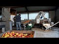 Cider making machinery in netherlands  clients review of equipment  profruit machinery