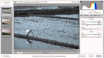Camera Raw presets,adjustment reset