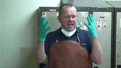 live brain extraction