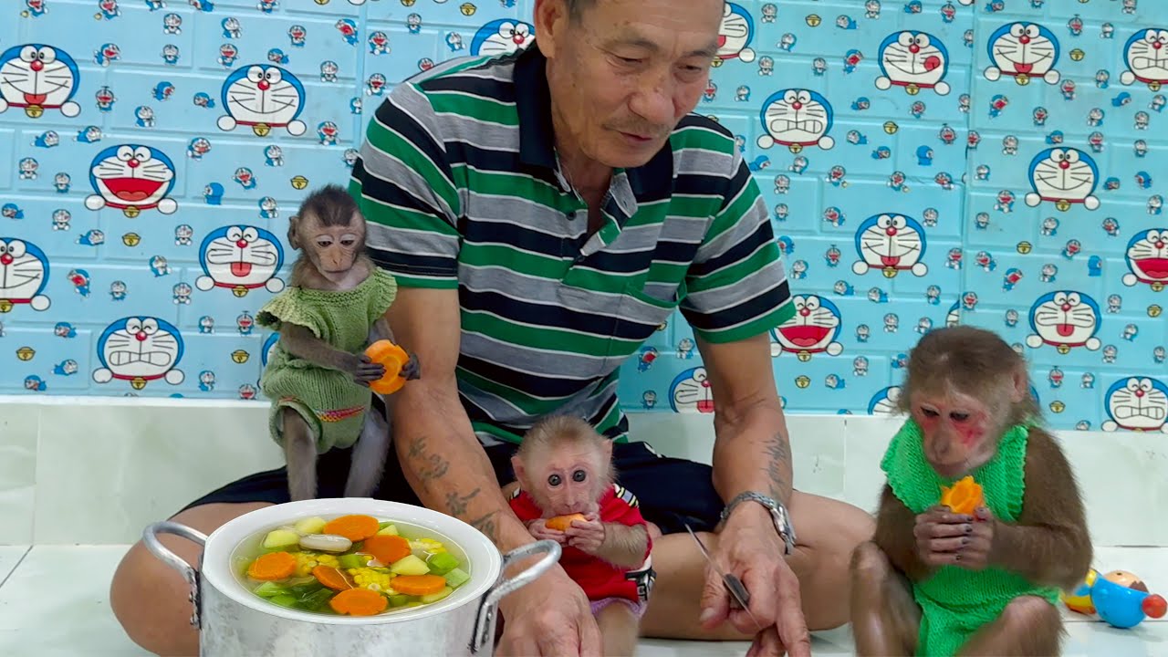 Grandpa cooks vegetarian dishes, monkeys baby loves to eat a lot YouTube