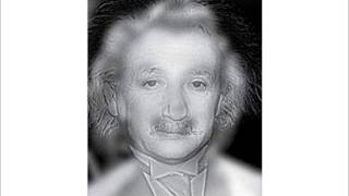 Optical Illusion - Hybrid Image (Marilyn Monroe and Albert Einstein) 멀리서 보면 다른 그림