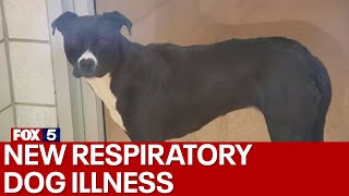 New dog illness