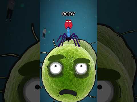 A Deadly Virus That Help You....