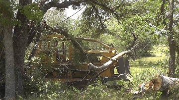CAT D7 Pushing Dead Tree
