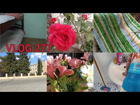 UŞAQLARIN OTAĞINDA DƏYİŞİKLİK | QONŞUM MƏNƏ NƏ GÖNDƏRDİ😍 | SÖZÜMÜ GERİ GÖTÜRDÜM #vlog 277