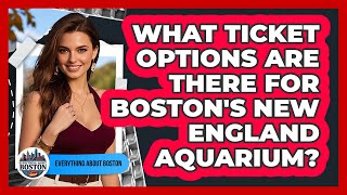 What Ticket Options Are There For Boston's New England Aquarium? - Everything About Boston