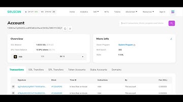 A Beginners Guide on How to Use Solscan to Analyze and Find Memecoin Gems