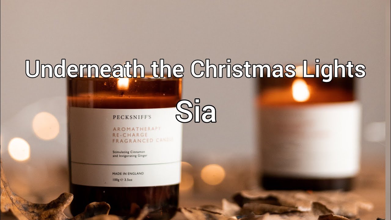 Underneath the Christmas Lights Sia Lyrics YouTube