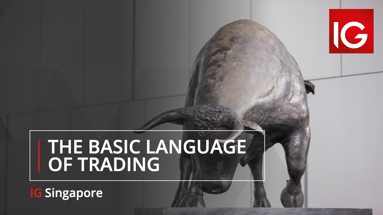 The Basic Language of Trading YouTube