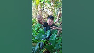 kopie 0569C27A 335E 4649 8627 9B04869DF0BB