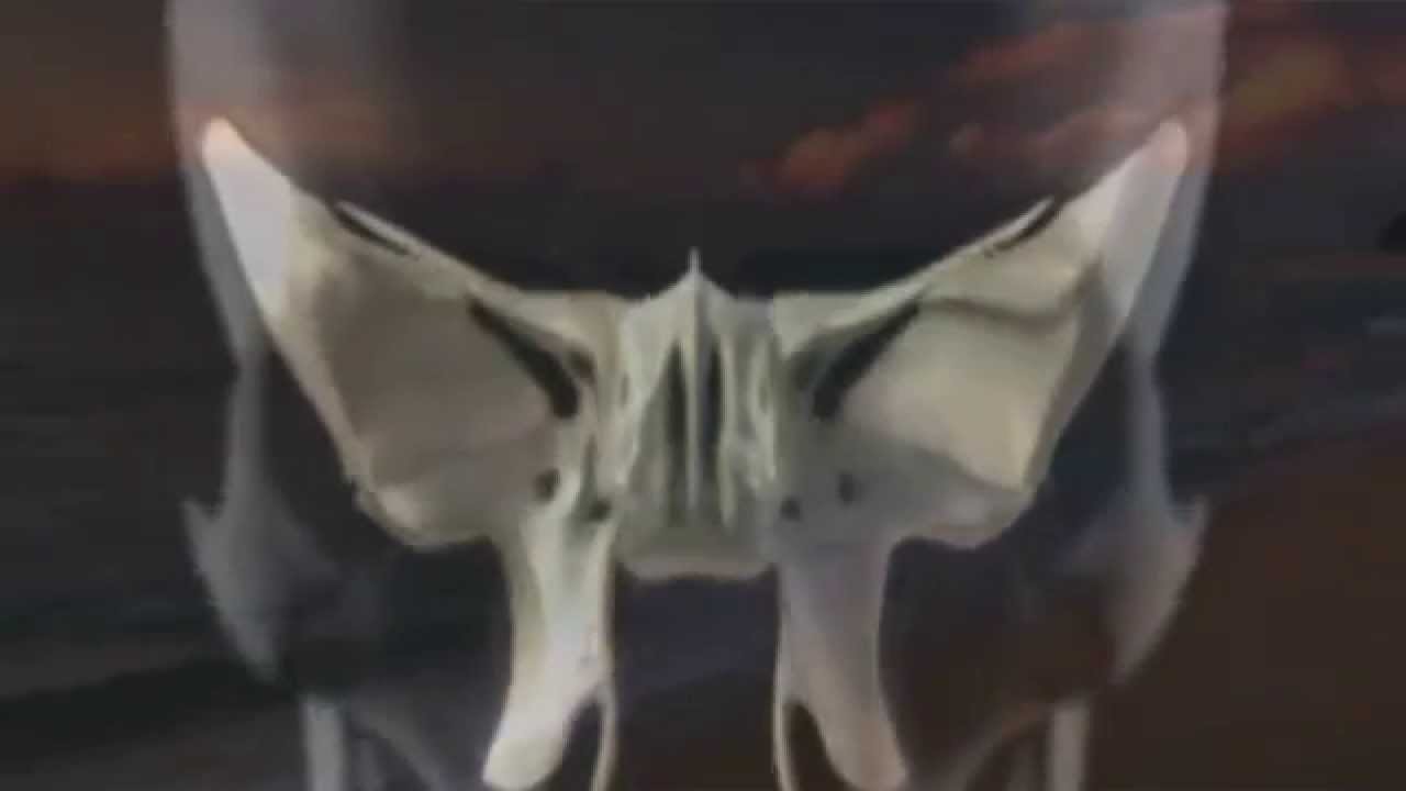 Краниосакральная терапия. Что это? - YouTube