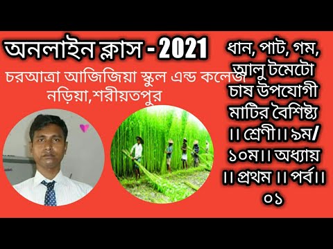 ভিডিও: আলুর বৈশিষ্ট্য