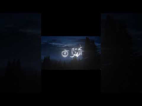 تلاوة من سورة نوح الشيخ محمد اللحيدان راحة نفسية