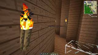 Celebrity Minecraft Java 05 21 2026 15 26 31 350 Wealth