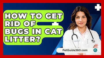 How To Get Rid Of Bugs In Cat Litter? - PetGuide360.com