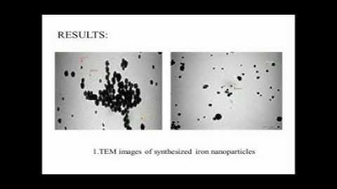 Batch 2 Biotech Final project VTHT