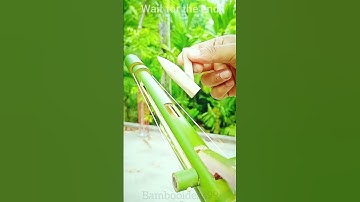 bamboo creations with green bamboo archer #bamboo #Diy #Slingshots #Bambooart