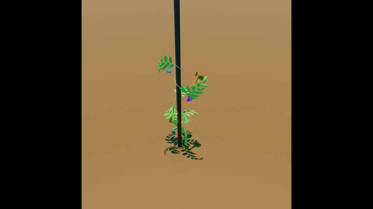 growing flower animation