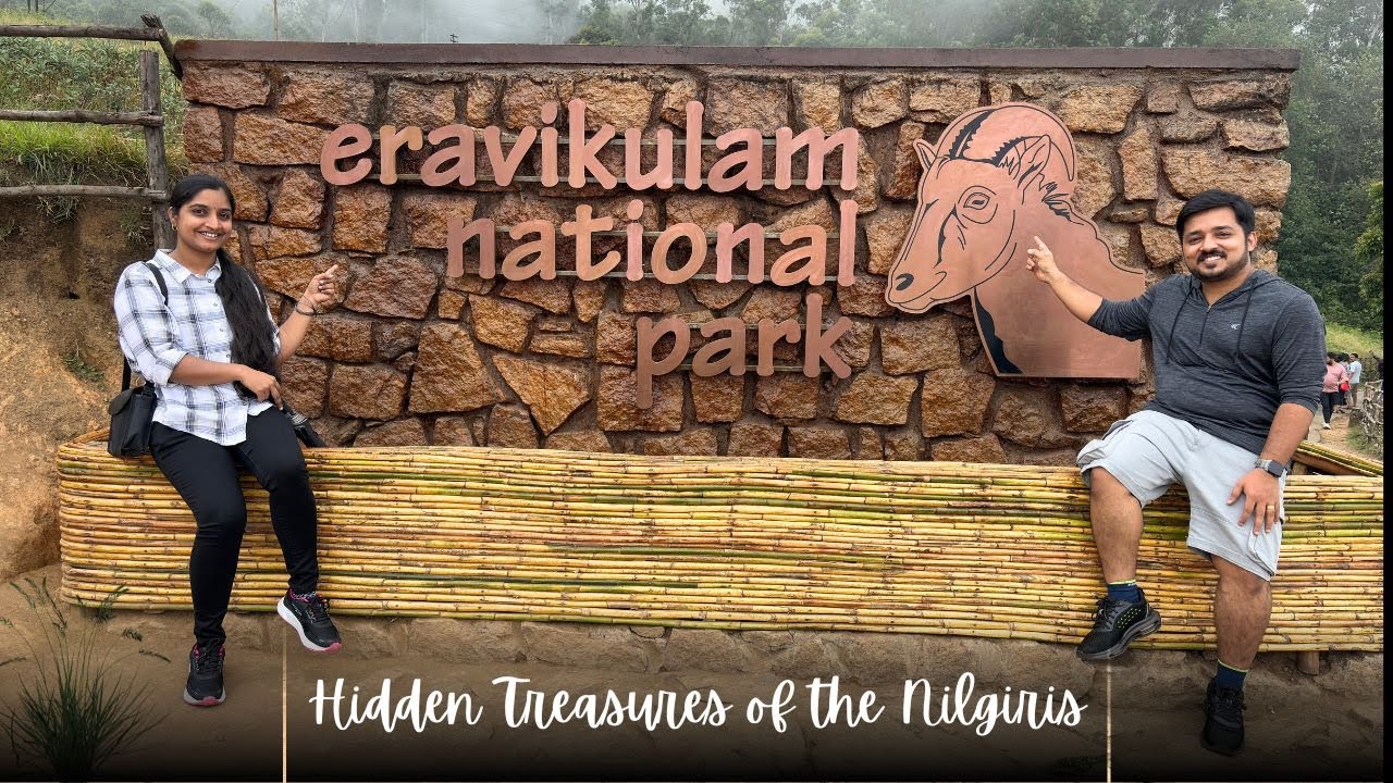 Munnar's Hidden Gems: Gap Road Adventure, Luxury at Shola Crown & Rare Wildlife in Eravikulam!
