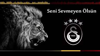 Seni Sevmeyen Ölsün - Galatasaray Marşları Resimi