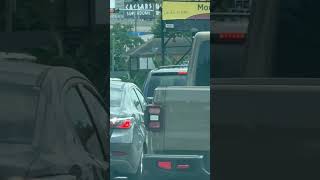 Dog Thought to Be Sick Was Just Having a Drink