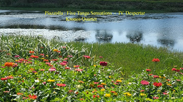 Piazzolla : Five Tango Sensations  -  IV. Despertar