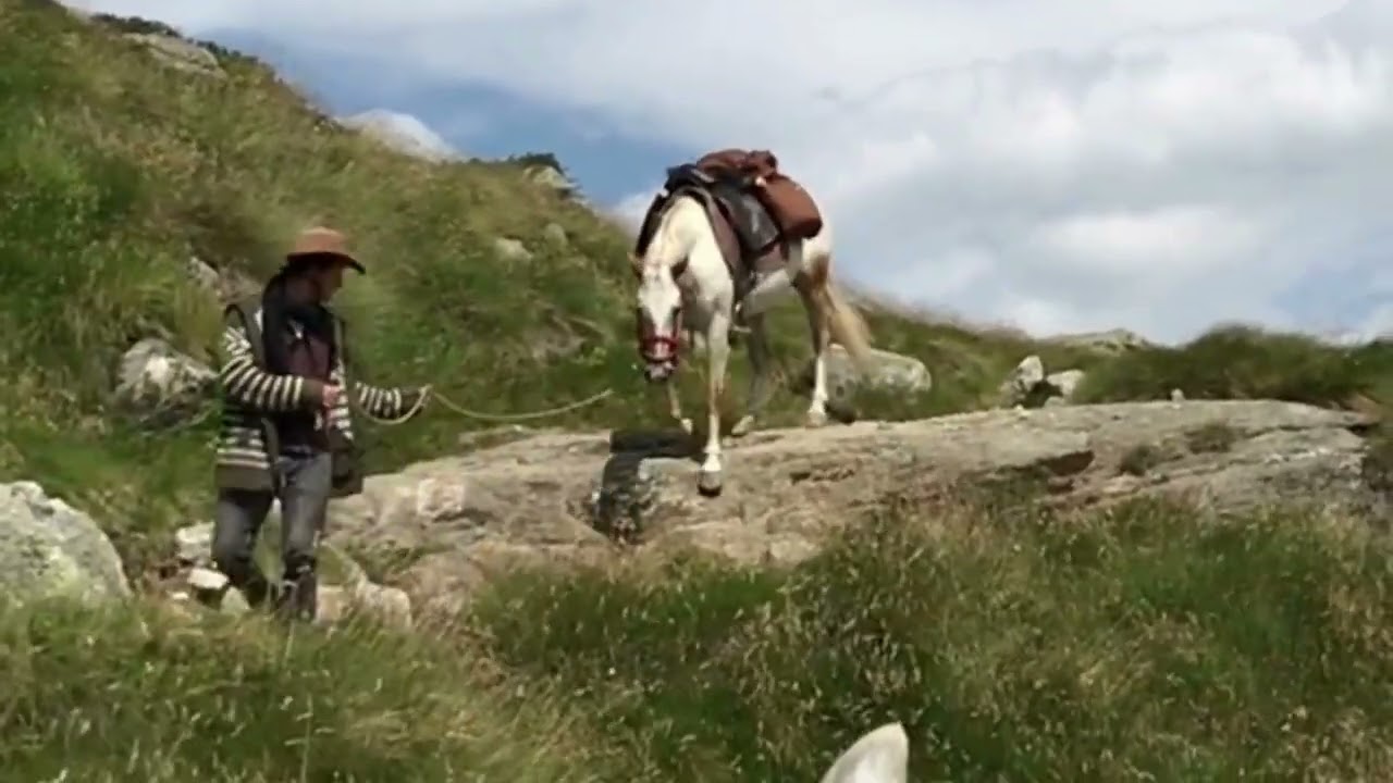Zweitagesritt auf der Alp Flix – Reitabenteuer mit Herz, Ruhe & Bergluft