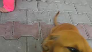 Aşkım'la Elif'im benim güzel kızlarım ne güzel anlaşıyorlar.