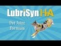 Lubrisyn  pet formula at the apha general store