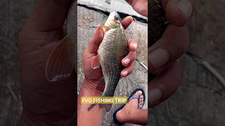 Download Lagu mancing ikan melem hari ini. #mancing #ikan #ikanmelem MP3