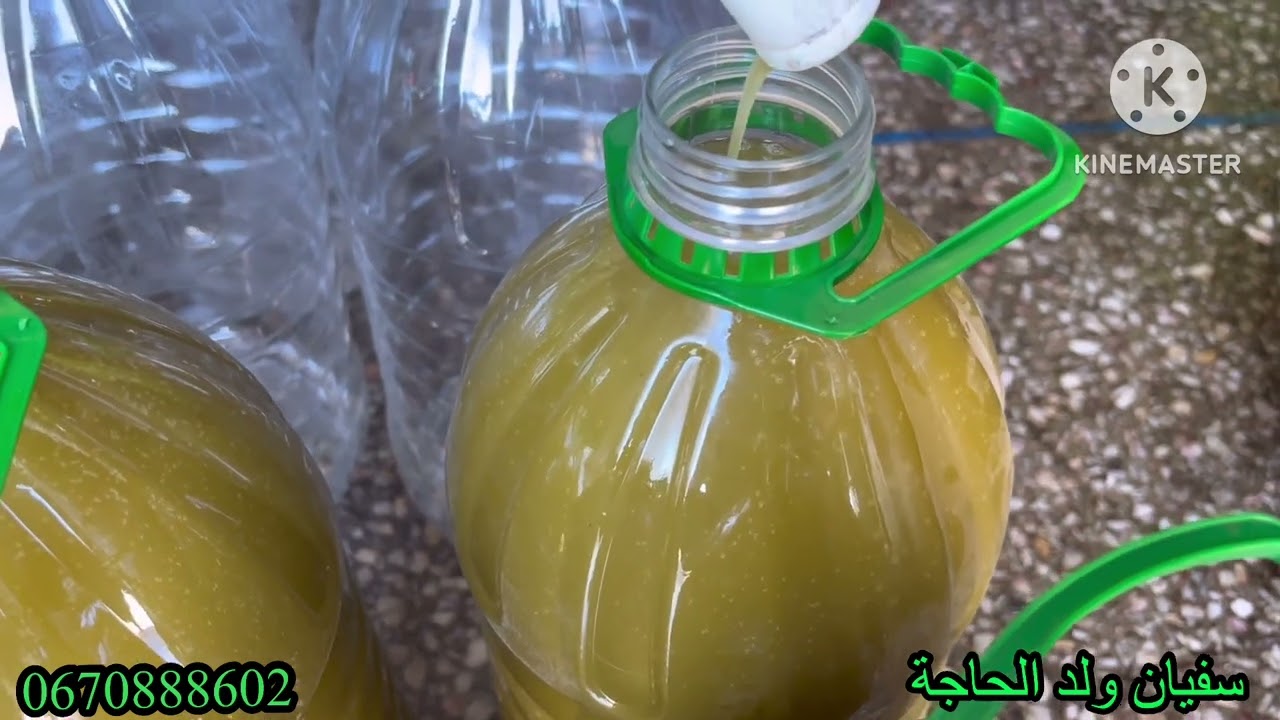 زيت  زيتون الاخضر 🫒  قلعة السراغنة بتاريخ 2026/2/17