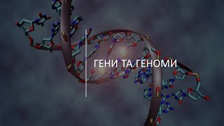 Гени та геноми