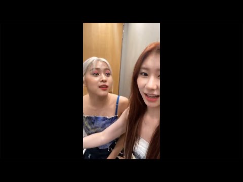 [있지/류진] 메기같다고?!