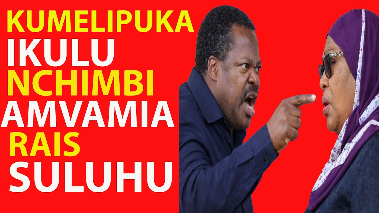 Makamu Wa Rais Emmanuel Nchimbi Kuwekewa Ulinzi Mkali Baada Ya Kumshambulia Rais Suluhu