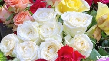 قالت الأعراب ءامنا قل لم تؤمنوا الربع السابع من الجزء السادس والعشرون من سورة الحجرات الحصري المعلم