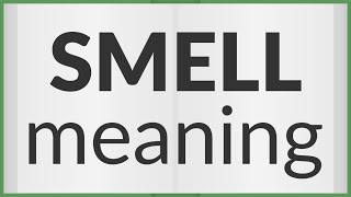 Smell | meaning of Smell