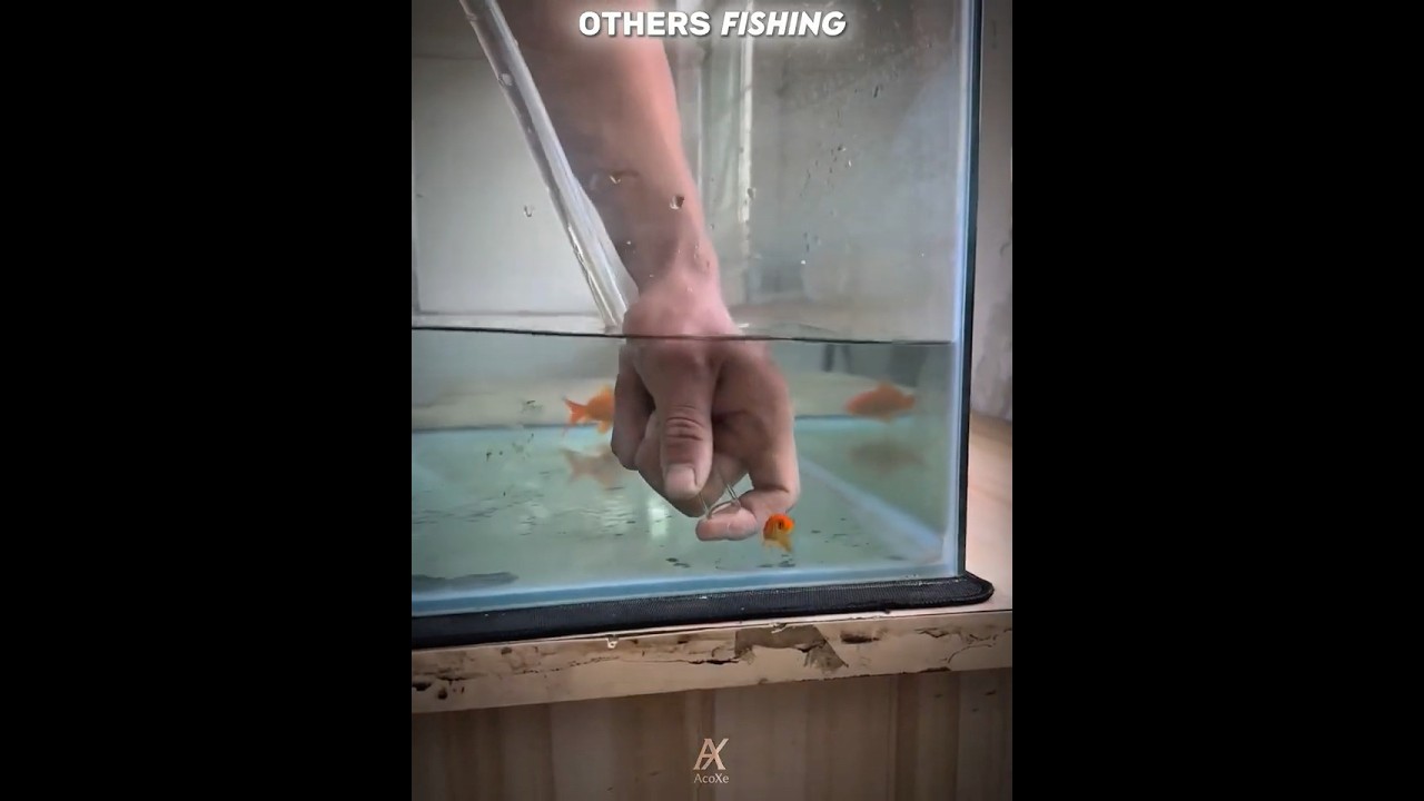 Fisherman catches biggest fish💀