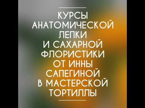 курсы лепки краснодар курсы лепки краснодар