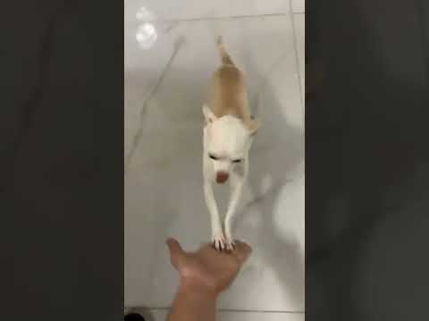 Канцовка убила.#4294 #satisfyingvideo#satisfying#oddlysatisfying#shorts