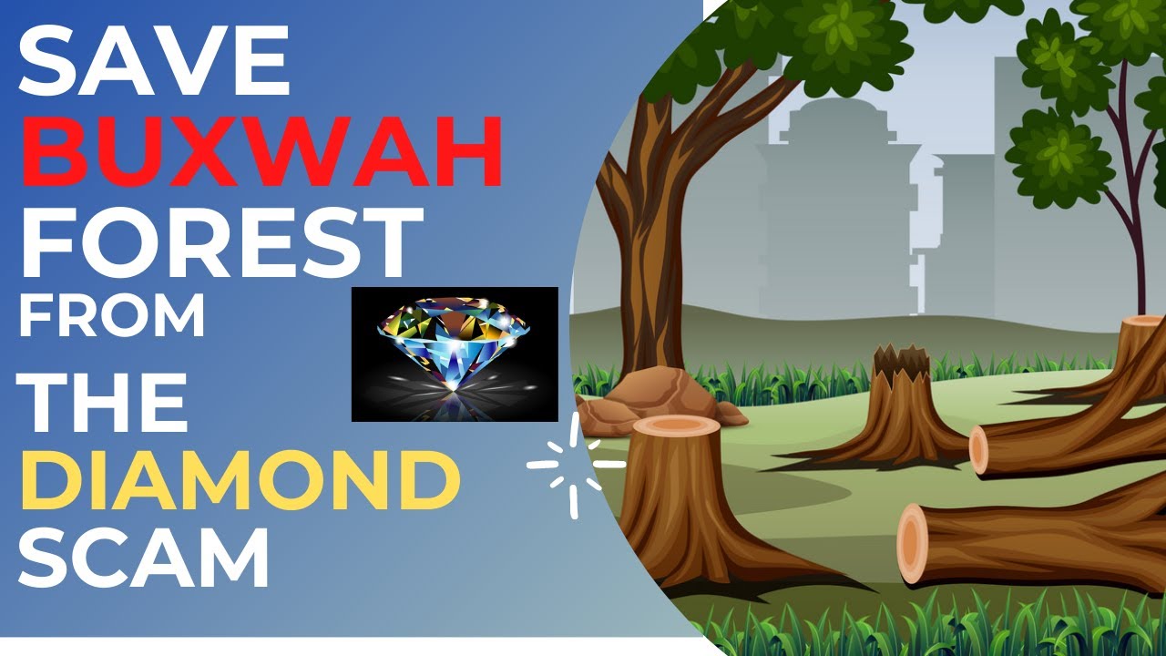 Madhya Pradesh | Buxwaha Forest Diamond Mine | Full Story Explained |  