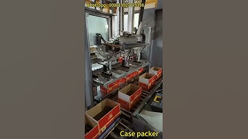 Automatic Bottle case Packer Machine/bottle case Packer/case Packer for Bottles Cartons Boxes Jugs