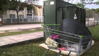 311 Direct App: Report Shopping Carts