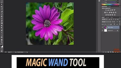 🔥 How to use the magic wand tool in Photoshop