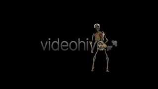 Dancing Sceleton 4K Stock Footage