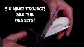 My Six Year Ball Python Project!  Will I hit the combo  (See the Results!)