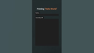 Hello World in Python vs Assembly x86 – Code, Syntax & Comparison#Python #Assembly #HelloWorld
