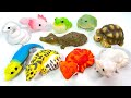 てのりフレンズ8 全10種 開封 爬虫類・両生類 リクガメ メガネカイマン アマガエル ポールパイソン ウーパールーパー マルメタピオカガエル レオパードゲッコー ヒルヤモリ フトアゴヒゲトカゲ 食玩