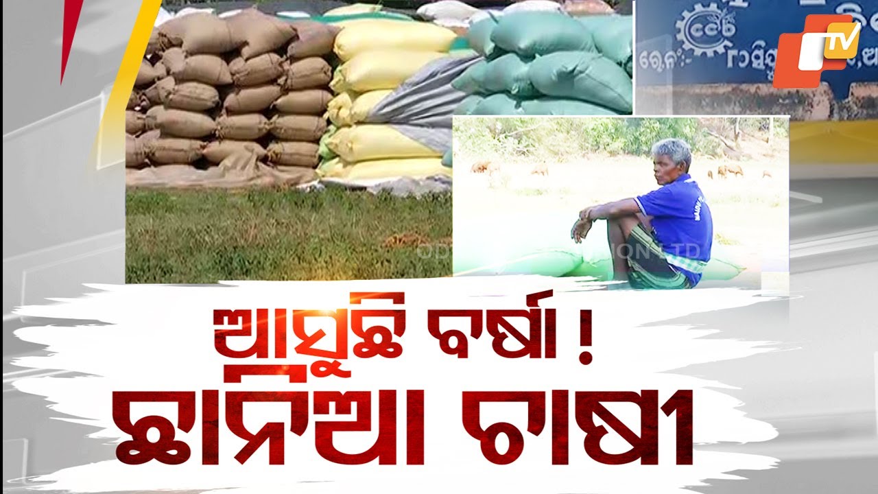Unseasonal Rain Alert and Mandi Issues Add to Odisha Farmers' Woes